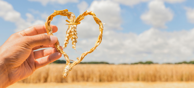 ڡռ伱ָϡùܼҶִ+һվʽƽȫʱ洢֡